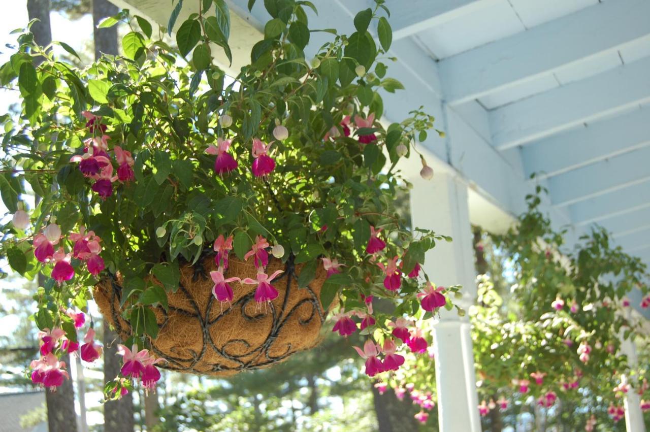 Sebago Lake Lodge & Cottages North Windham 외부 사진
